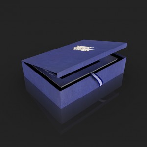 Randy Rhoads by Ross Halfin (Super Deluxe A3 Edition B-STOCK)