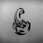 SCORPIONS - 60 ILLUSTRATED YEARS (SIGNED EPIC LEATHER & METAL EDITION)