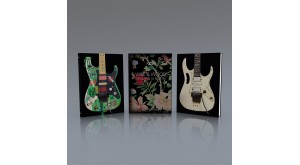 A message direct from Steve Vai