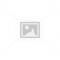 PRONOUNCED: A PHOTOGRAPHIC HISTORY OF LYNYRD SKYNYRD (Standard Edition)